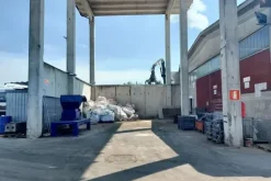 #23741 Capannone industriale e ramo d'azienda