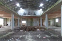 #9971 Capannone industriale in corso di costruzione