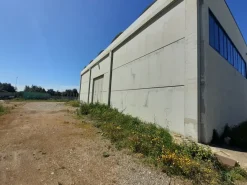 Capannone industriale nuovo