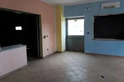 #14867 Capannone logistico con uffici e piazzale