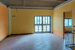 #14867 Capannone logistico con uffici e piazzale