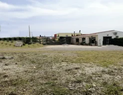 Capannone + uffici+ sala mostra