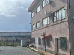 #2639752 Capannoni con uffici, piazzali e terreno pertinenziale