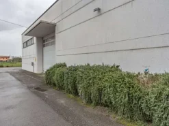 #2537510 Capannoni industriali con ufﬁci ad Altopascio
