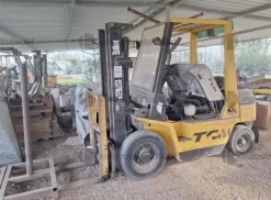 19#10019 Carrelli elevatori