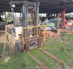 18#10019 Carrelli elevatori