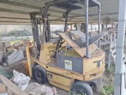 18#10019 Carrelli elevatori
