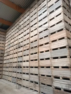 6#9254 Casse di legno