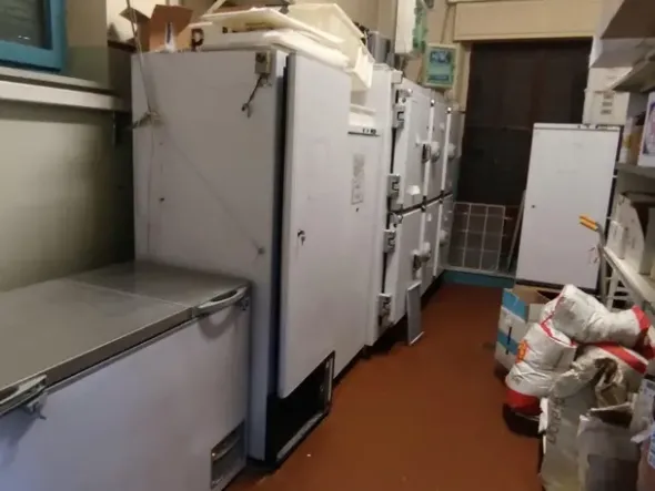 #23923 Cedesi avviata attività pasticceria artigianale