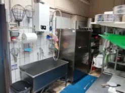 #23923 Cedesi avviata attività pasticceria artigianale