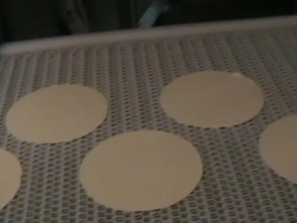 1#639 Cella di lievitazione con nastro trasportatore