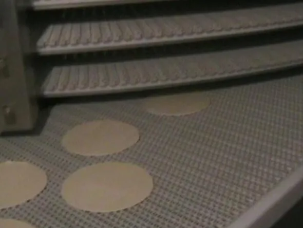 1#639 Cella di lievitazione con nastro trasportatore