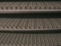 1#639 Cella di lievitazione con nastro trasportatore