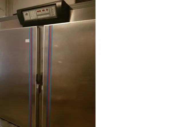 Cella ferma lievitazione professionale per pane