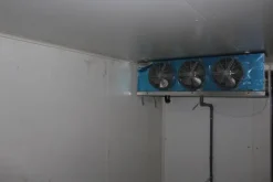 4#4619 Celle frigo e caldaie