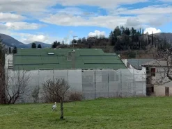 1#8040 Cessione azienda edile