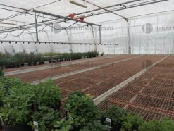 1#9399 Cessione del compendio aziendale dedito alle attività nel settore dei prodotti ortofrutticoli