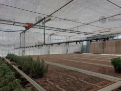 1#9399 Cessione del compendio aziendale dedito alle attività nel settore dei prodotti ortofrutticoli