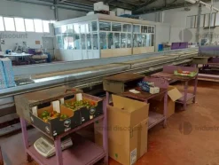 1#9399 Cessione del compendio aziendale dedito alle attività nel settore dei prodotti ortofrutticoli