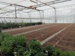 #2536973 Cessione del compendio aziendale dedito alle attività nel settore dei prodotti ortofrutticoli