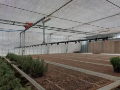 #2536973 Cessione del compendio aziendale dedito alle attività nel settore dei prodotti ortofrutticoli