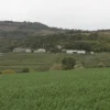 1#4909 Cessione di azienda agricola