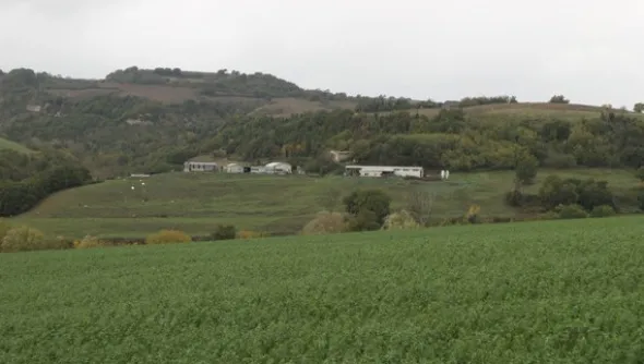 1#4909 Cessione di azienda agricola