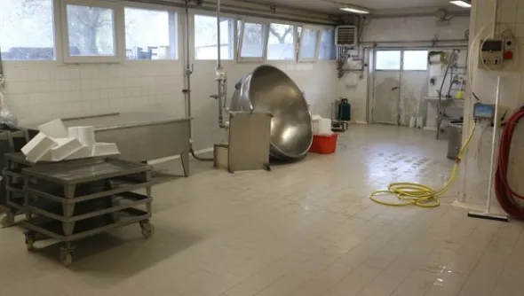 1#4909 Cessione di azienda agricola