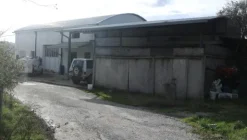 1#4909 Cessione di azienda agricola