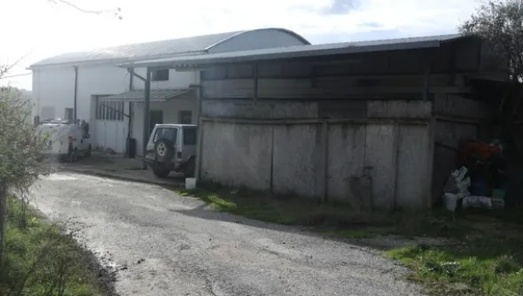 1#4909 Cessione di azienda agricola