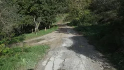 1#4909 Cessione di azienda agricola