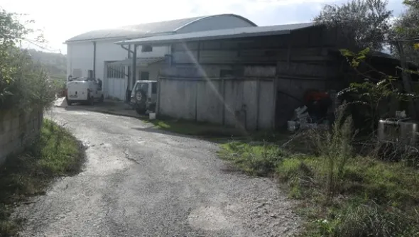 1#4909 Cessione di azienda agricola