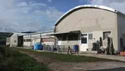 1#4909 Cessione di azienda agricola