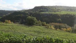 1#4909 Cessione di azienda agricola