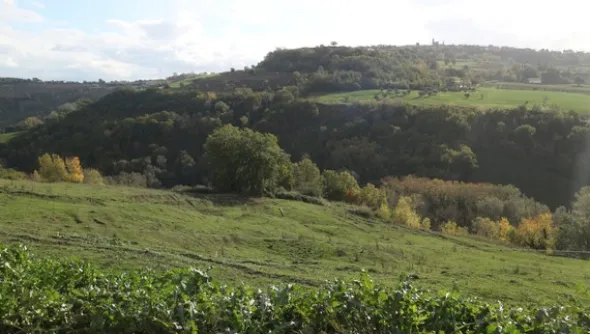 1#4909 Cessione di azienda agricola