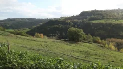 1#4909 Cessione di azienda agricola