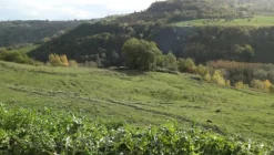 1#4909 Cessione di azienda agricola