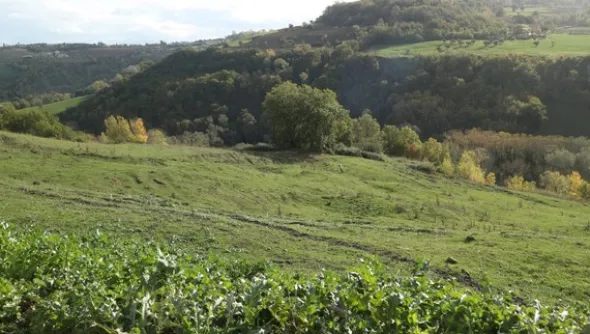 1#4909 Cessione di azienda agricola