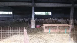 1#4909 Cessione di azienda agricola