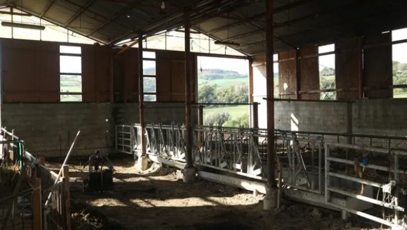 1#4909 Cessione di azienda agricola