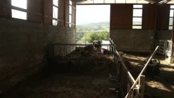 1#4909 Cessione di azienda agricola