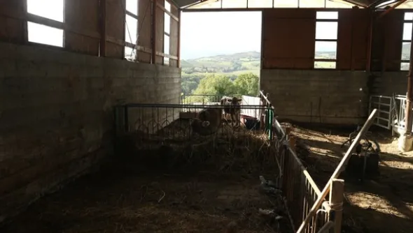 1#4909 Cessione di azienda agricola