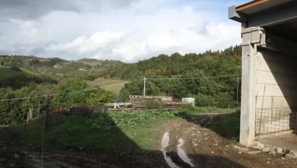 1#4909 Cessione di azienda agricola