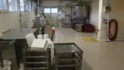 1#4909 Cessione di azienda agricola