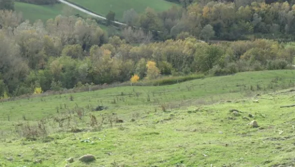 1#4909 Cessione di azienda agricola