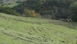 1#4909 Cessione di azienda agricola