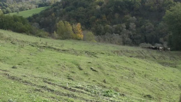 1#4909 Cessione di azienda agricola