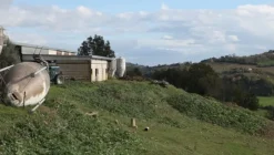 1#4909 Cessione di azienda agricola