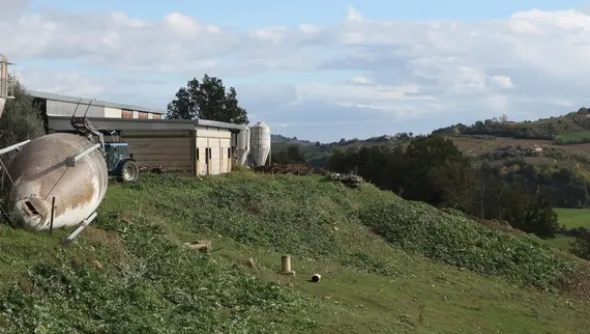 1#4909 Cessione di azienda agricola