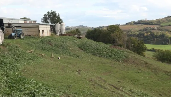 1#4909 Cessione di azienda agricola